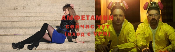 индика Киреевск