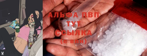индика Киренск