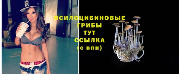 Альфа ПВП Козельск