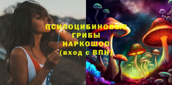 индика Киренск