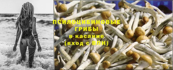 ПСИЛОЦИБИНОВЫЕ ГРИБЫ Кинешма