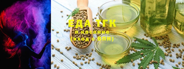индика Киренск