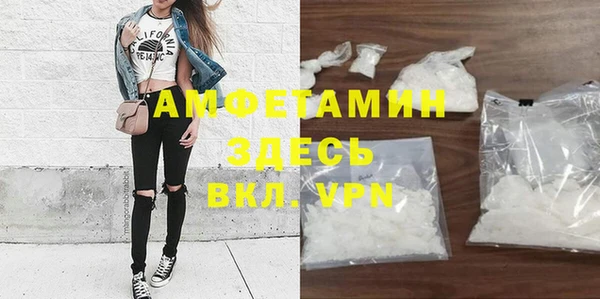индика Киреевск