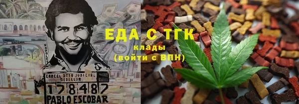 индика Киренск
