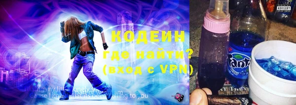 индика Киреевск