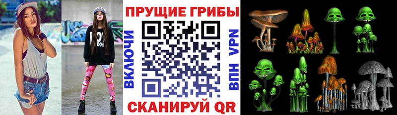 Галлюциногенные грибы GOLDEN TEACHER  Курильск 